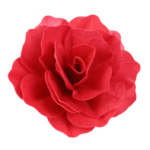 3bba087637baed45182e44c465ea8457