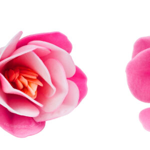 Kwiaty waflowe Magnolia różowa Rose Decor 6 szt.