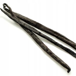 Wanilia laska Madagaskar 16-18cm 1 szt Pi-Nuts